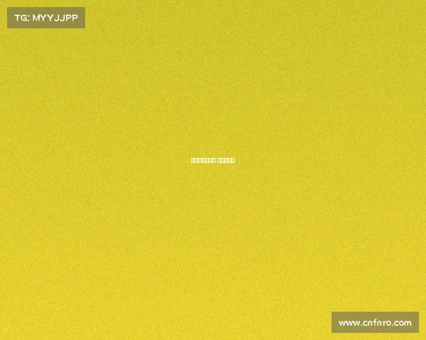 中洲岛电子竞技 中洲岛老板